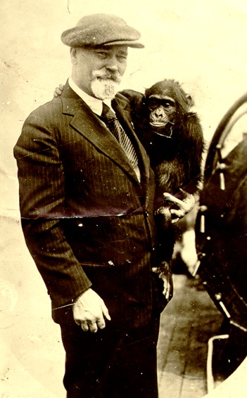 tagasi